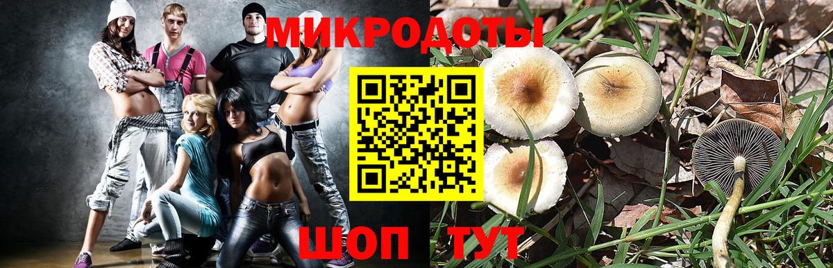 Галлюциногенные грибы прущие грибы Новоуральск
