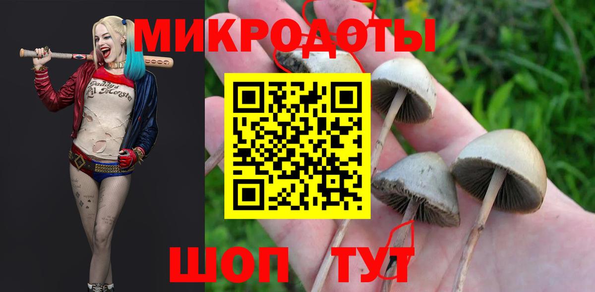 Псилоцибиновые грибы прущие грибы  где можно купить наркотик  Новоуральск  Вход с VPN 